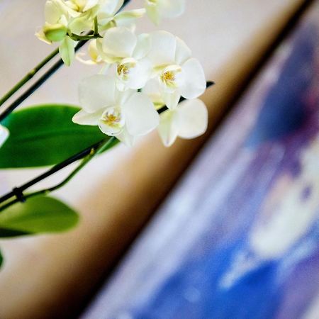 La Sainte Famille Hotel Lourdes Ngoại thất bức ảnh