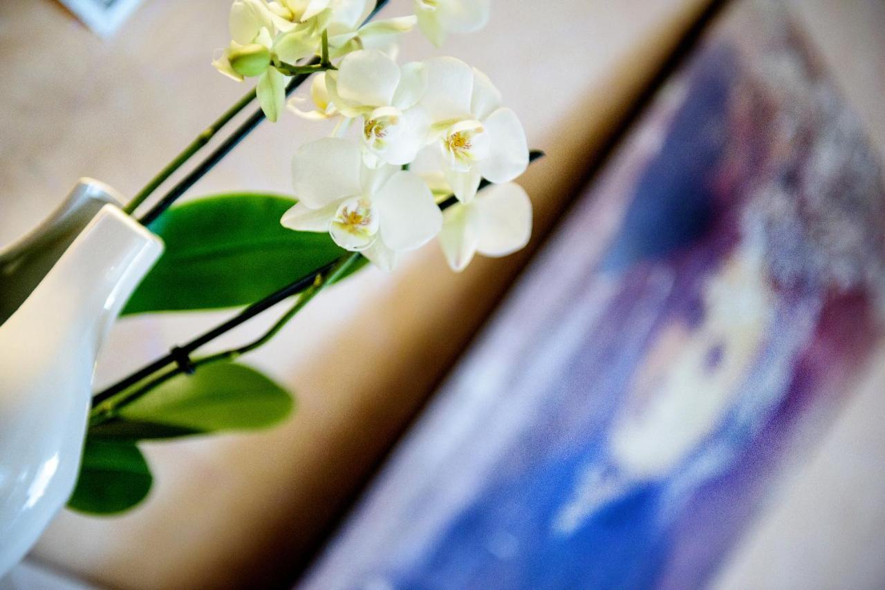 La Sainte Famille Hotel Lourdes Ngoại thất bức ảnh